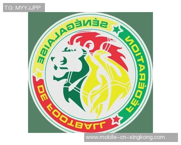 探索实况足球10中的队徽设计与球队文化的深度解析与欣赏