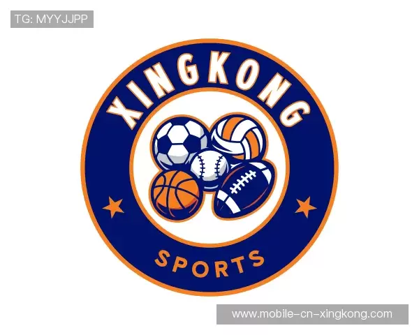 介绍XINGKONG中国官网